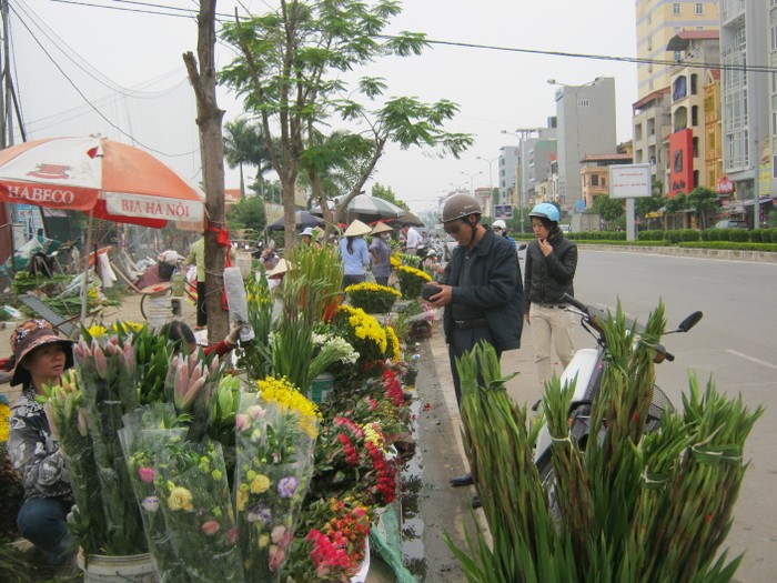 Hầu hết hoa được gom về các chợ như Quảng Bá (Tây Hồ), Mai Dịch (Cầu Giấy)... để từ đó đi về các cửa hàng bán hoa ở khắp Hà Nội.